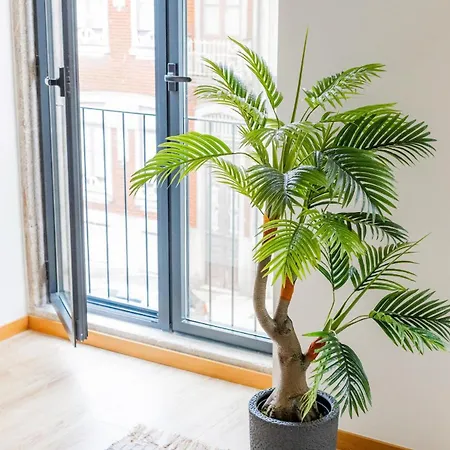 Appartamento Urban Style In Bonfim I