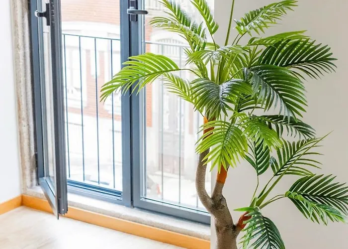 Urban Style In Bonfim |